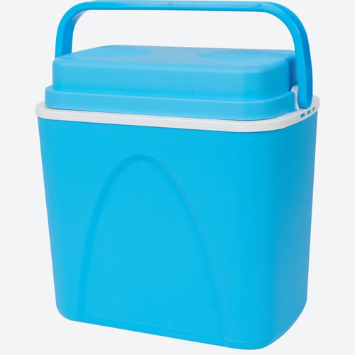 22L Portable Electric Cooler