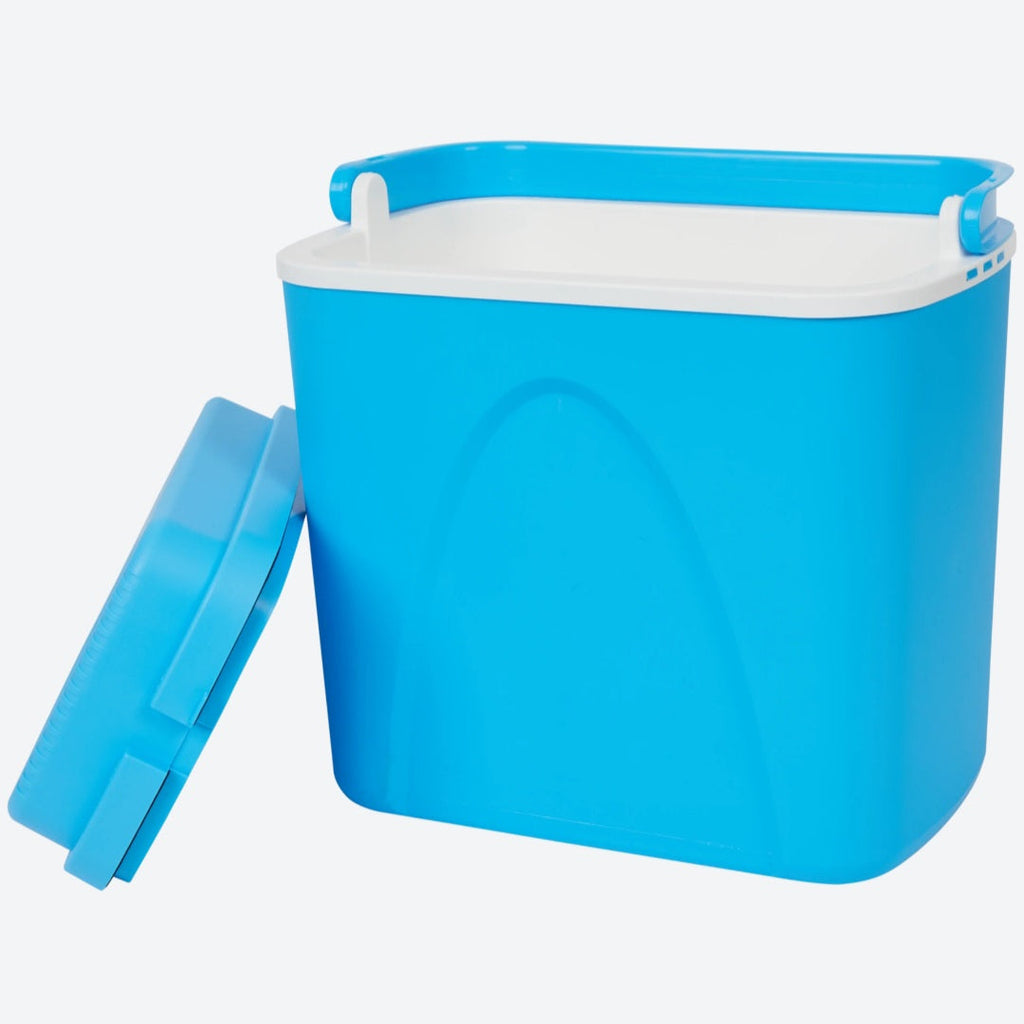 22L Portable Electric Cooler